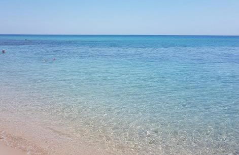 Wine Suite b&b - Foto 74