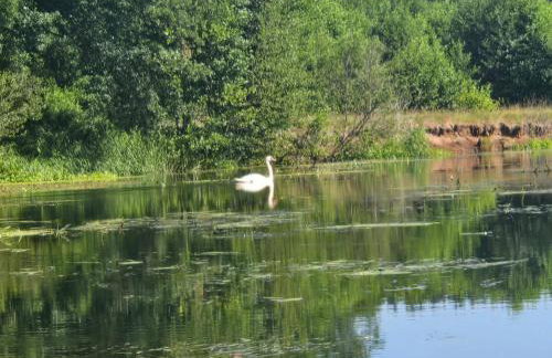 Rzeka, plaża, sauna, kajaki - Plażowe Zacisze - Foto 25