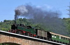 Kleines Glück - Foto 46