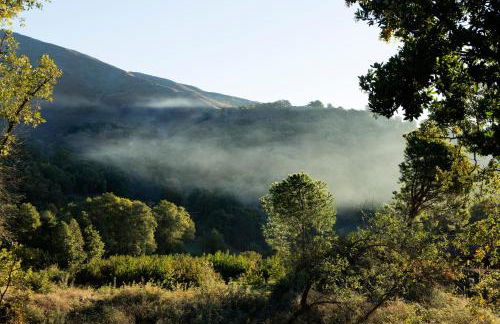 Abejas 2 de El Vergel de Chilla - Photo 13