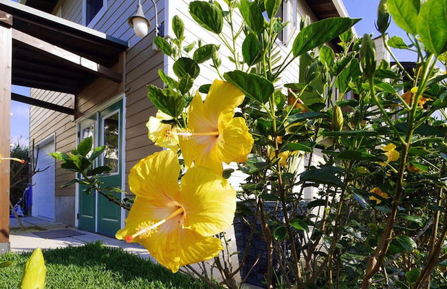 Private Vacation Villa Kohola - Foto 47