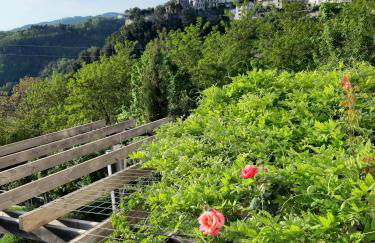 Villa Pavone - Foto 28