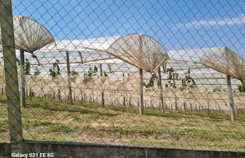 Chácara Áquila - Foto 73