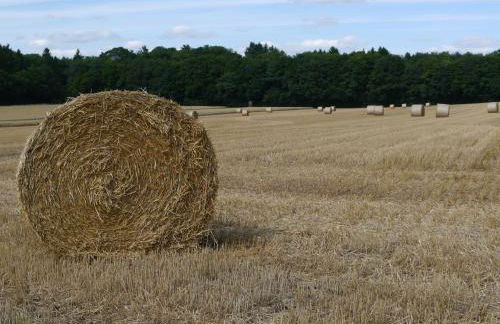 Rhein - Mosel Quartier 4 - Foto 45