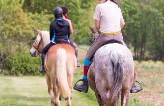 Les Chalets de Grazimis - Photo 34