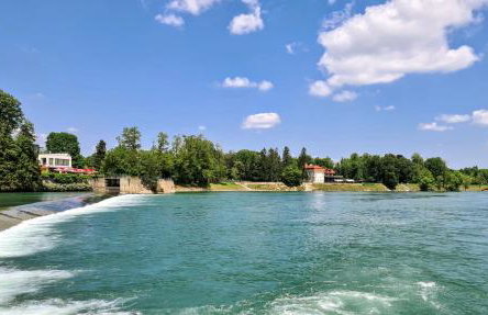 Happy Sparrow - Foto 62