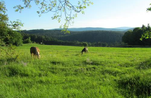 Ferienhaus Zopfhäusl - Foto 20