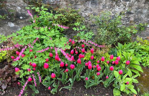 Quaint self contained cottage near Edinburgh. - Foto 13