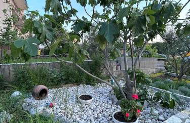 Andrea&Goran - Foto 21