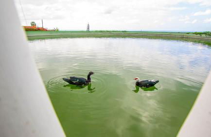 Apartments Finca El Rincón - Foto 38