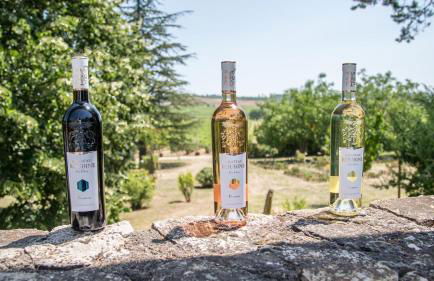 le lavandin - Foto 24