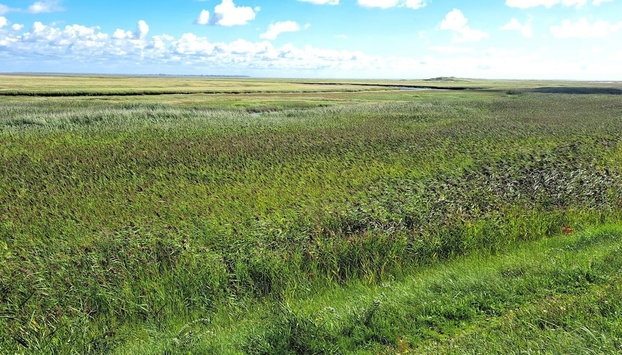 Seaside Charm in Sonderho - By Traum Ferienwohnungen - Foto 5, Miscelánea