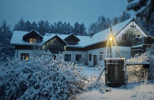 Forreset - leśny reset - Foto 74