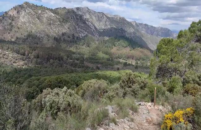 Ojen Retreat With Pool - Foto 32