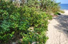 Apartament Bursztyn - Foto 17