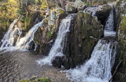 Notre Renardière, Gîtes à Saulxures-sur-Moselotte, Hautes-Vosges - Foto 68