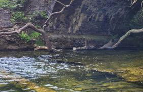 The Granary Corris on the edge of the Dyfi Forest - Photo 24