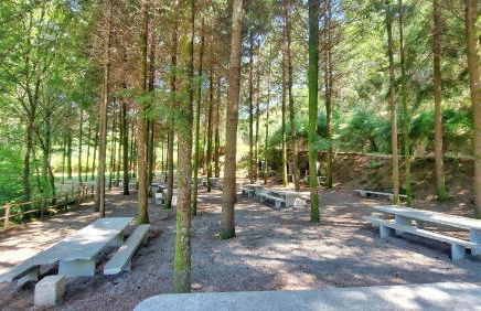 Sítio dos Cogumelos Alojamentos - Foto 27