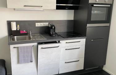 Apartments Saaldorf-Ferienhaus mit 6 Apartments 45qm-120qm direkt am Thüringer Meer-Bleilochtalsperre - Foto 64