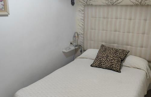 CENTRO HISTORICO - Foto 16