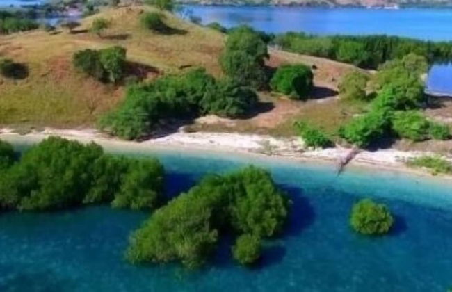 Komodo Boat Trip - Foto 30