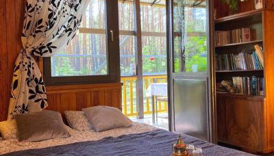 Leśny Czar - Foto 5