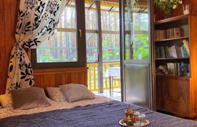 Leśny Czar - Foto 5