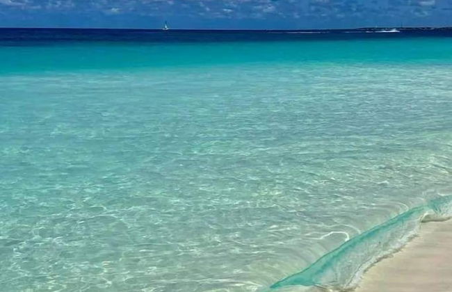 Love and Peace Vacation Rental Aruba - Foto 30