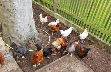 Converted Barn House - Central Oxford, Cotswolds - Foto 27