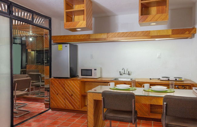 Departamentos Lomas SLP - Foto 25