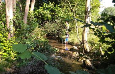 Gite de la Pierre Bleue, Authentique Maison à la campagne - Foto 49