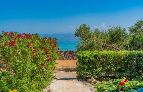 Villa Biankura - Foto 20