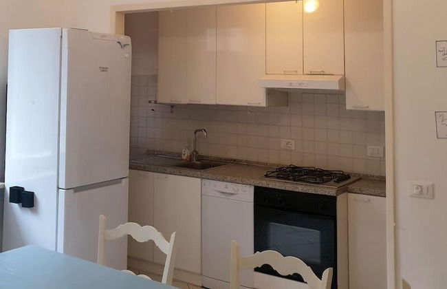 Cleo Tulipano - Foto 7