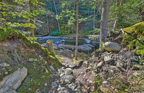 Remote Cabin with Fire Pit 3 Miles to Stowe Mtn! - Foto 24