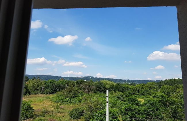 Dresdner-Tag Helene - Foto 13