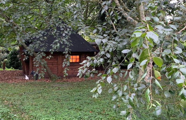 Starry Meadow - Foto 67