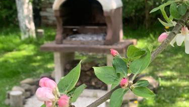 Dom z sadem - Foto 2