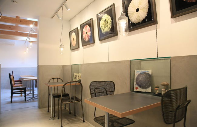 Usagi No Nedoko - Foto 22