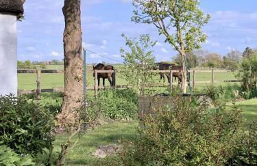 FRIESENKATE AM SEEDEICH - Foto 76