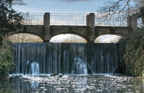 Brook Hollows - Foto 12