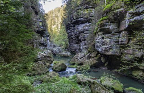 Ferienwohnungen Elbjuwel - Foto 32