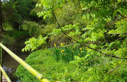 Les roulottes du Moulin de Palet - Photo 17