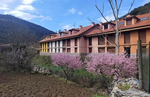 Cabrales Sol - Foto 28