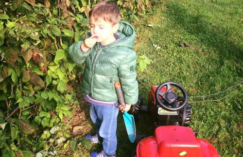 Corte Breda Agriturismo Bed & Breakfast - Foto 51