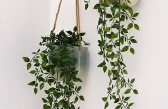 Cozy House - Foto 16