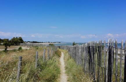 Le Clos des Pins - Foto 29