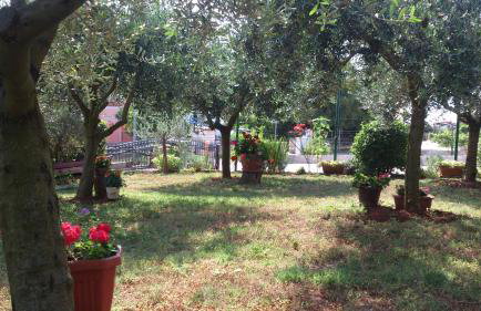 Apartments Mana - Foto 10