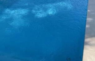 Maison splendide avec piscine - Foto 5