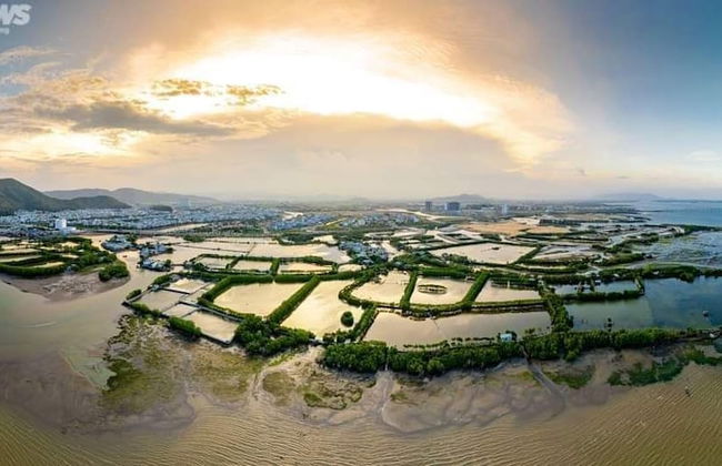 NHATUIshare Quy Nhon - Photo 49