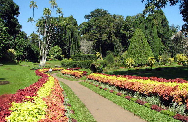 Découvrez Kandy - Excursion d'une Journée - Photo 4